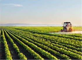 Landwirtschaftlicher Betrieb