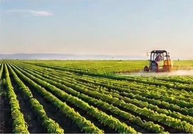 Landwirtschaftlicher Betrieb